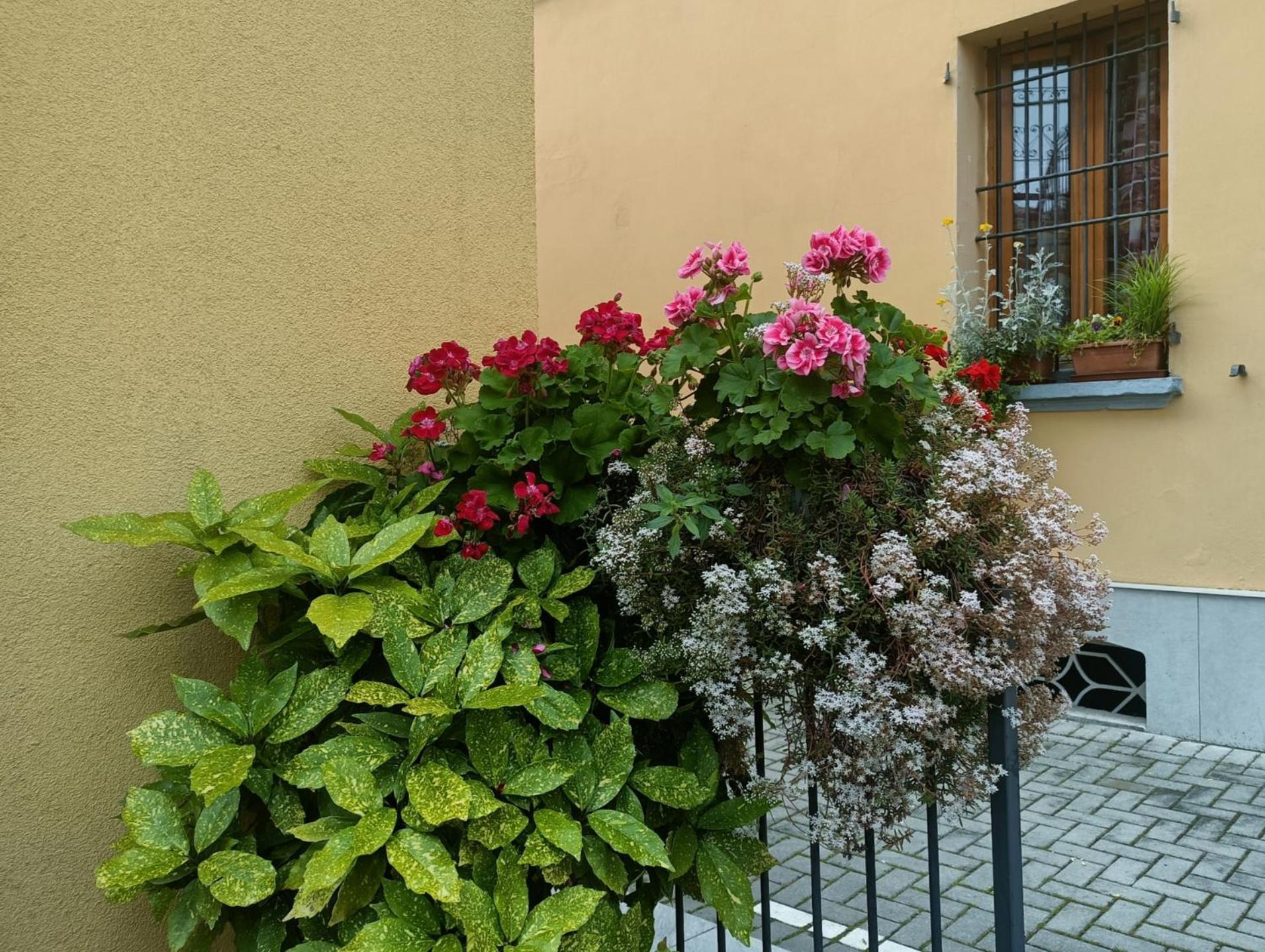 Appartamenti Borghetto San Donato 105 Bologna Exterior foto